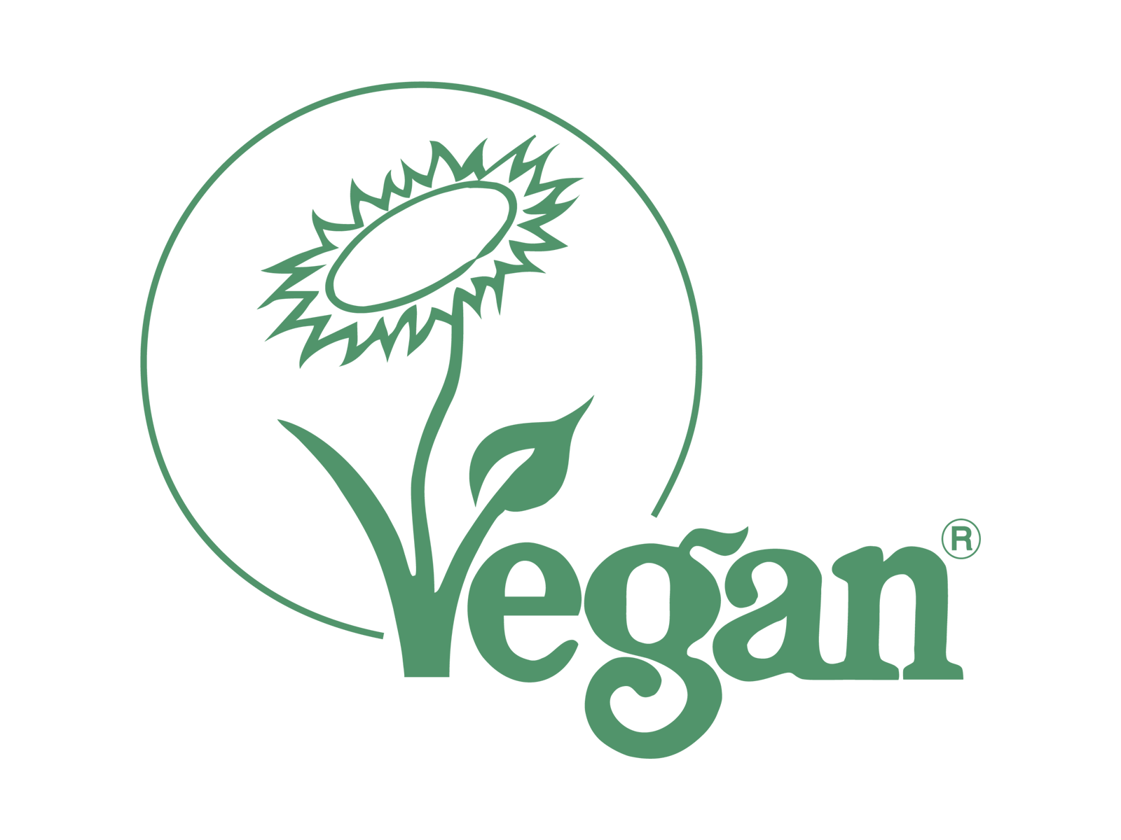 Coconut Fiber Veggie Cleaning Brush - All Natural Handmade